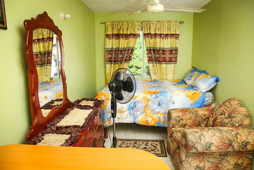 Angel'S Apartment Jamaica 킹스톤