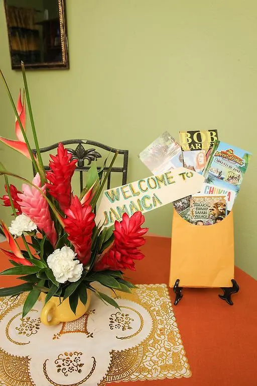 Angel'S Apartment Jamaica 킹스톤