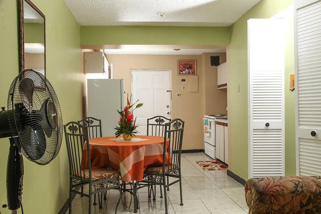 Angel'S Apartment Jamaica 킹스톤 0*,
