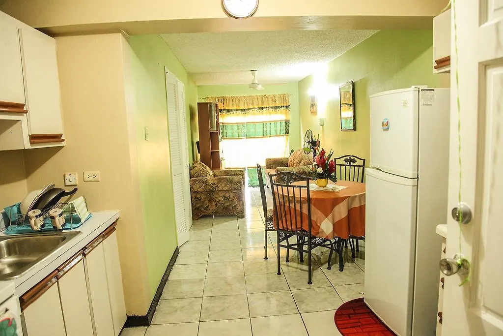 Angel'S Apartment Jamaica Kingston